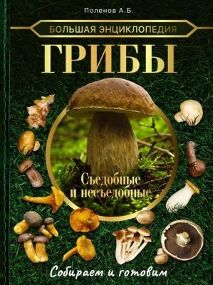 Энциклопедия АСТ Грибы. Съедобные и несъедобные. Собираем и готовим от компании Бесплатная доставка по Беларуси - фото 1