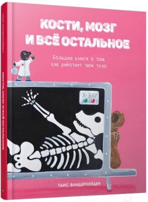 Энциклопедия Попурри Кости, мозг и все остальное от компании Бесплатная доставка по Беларуси - фото 1