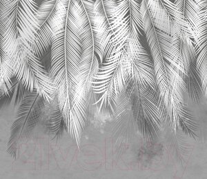 Фотообои листовые Citydecor Пальмовые листья серые гранж