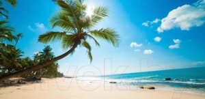 Фотообои листовые Citydecor Пляж