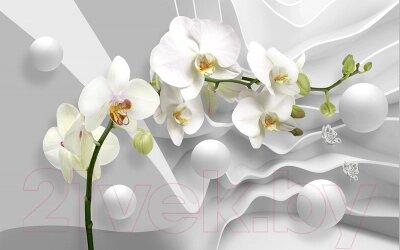 Фотообои листовые Vimala 3D Орхидея и шары от компании Бесплатная доставка по Беларуси - фото 1