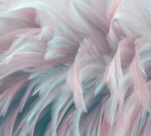 Фотообои листовые Vimala 3D перья