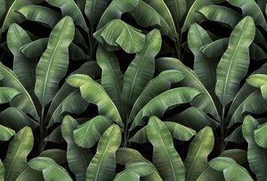Фотообои листовые Vimala Листья патерн