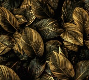 Фотообои листовые Vimala Золотые листья 2