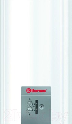 Газовый котел Thermex EuroStyle F 24 от компании Бесплатная доставка по Беларуси - фото 1