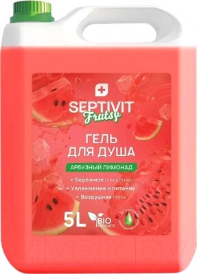 Гель для душа Septivit Frutsy Арбузный лимонад от компании Бесплатная доставка по Беларуси - фото 1