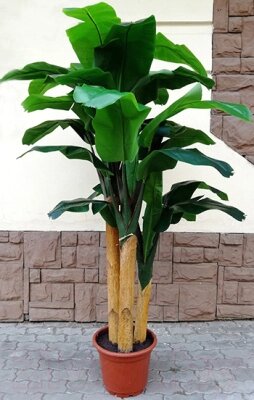 Искусственное растение ForGarden Дерево Banana Tree 210cm / FGN BF01710 от компании Бесплатная доставка по Беларуси - фото 1