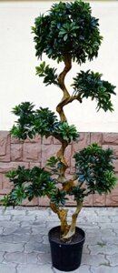 Искусственное растение ForGarden Дерево Pittisporum Bonsai / FGN BF01700