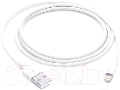 Кабель/переходник Apple USB 2.0 Type-A - Lightning MXLY2 от компании Бесплатная доставка по Беларуси - фото 1