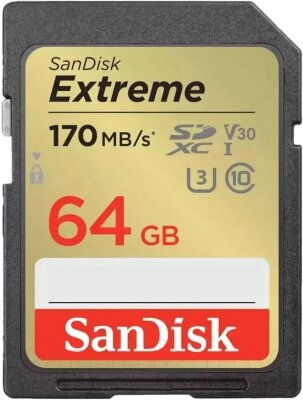 Карта памяти SanDisk Extreme Class 64GB (SDSDXV2-064G-GNCIN) от компании Бесплатная доставка по Беларуси - фото 1