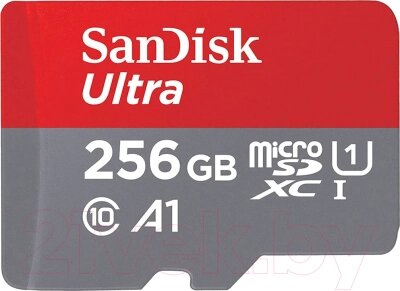 Карта памяти SanDisk Micro SDXC UHS-I 256GB (SDSQUAC-256G-GN6MN) от компании Бесплатная доставка по Беларуси - фото 1