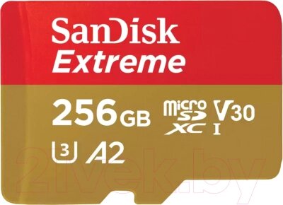 Карта памяти SanDisk microSDXC Extreme UHS-I U3 V30 A2 256GB (SDSQXAV-256G-GN6MN) от компании Бесплатная доставка по Беларуси - фото 1