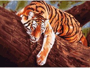 Картина по номерам БЕЛОСНЕЖКА Тигр на дереве / 364-AS