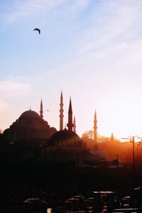 Картина Stamion Стамбул