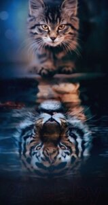 Картина Stamion Тигра на синем