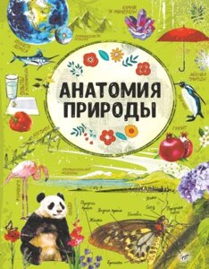 Книга АСТ Анатомия природы