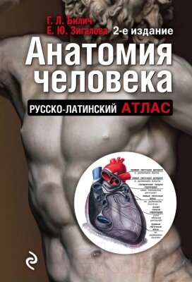 Книга Эксмо Анатомия человека от компании Бесплатная доставка по Беларуси - фото 1
