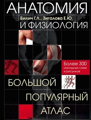 Книга Эксмо Анатомия и физиология. Большой популярный атлас