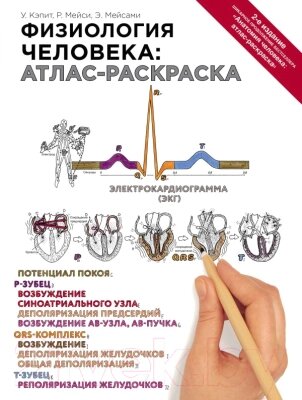 Книга Эксмо Физиология человека: атлас-раскраска от компании Бесплатная доставка по Беларуси - фото 1