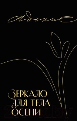 Книга Inspiria Зеркало для тела осени / 9785041851651