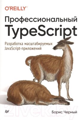 Книга Питер Профессиональный TypeScript от компании Бесплатная доставка по Беларуси - фото 1