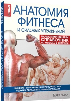 Книга Попурри Анатомия фитнеса и силовых упражнений от компании Бесплатная доставка по Беларуси - фото 1