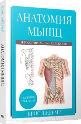 Книга Попурри Анатомия мышц: иллюстрированный справочник / 9789851554719 от компании Бесплатная доставка по Беларуси - фото 1