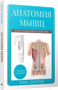 Книга Попурри Анатомия мышц: иллюстрированный справочник / 9789851554719