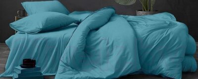 Комплект постельного белья LUXOR №15-4717 TPX 2.0 с европростыней от компании Бесплатная доставка по Беларуси - фото 1