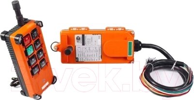 Комплект радиоуправления для тали электрической TOR F21-E1B / 1190512 от компании Бесплатная доставка по Беларуси - фото 1