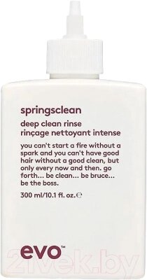 Крем для волос Evo Springsclean Deep Clean Rinse Для вьющихся кудрявых волос от компании Бесплатная доставка по Беларуси - фото 1