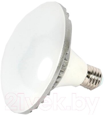 Лампа FST L-E27-LED25 / ут-00000806 от компании Бесплатная доставка по Беларуси - фото 1