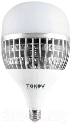 Лампа Tokov Electric 80Вт HP 6500К Е40/Е27 176-264В / TKE-HP-E40/E27-80-6.5K от компании Бесплатная доставка по Беларуси - фото 1