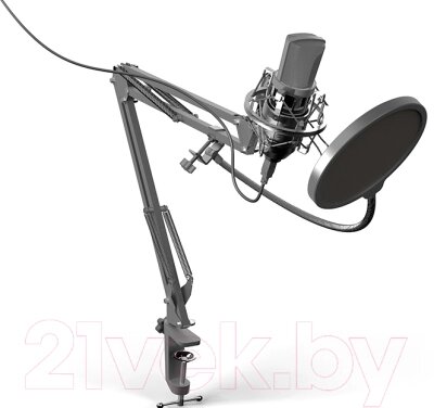 Микрофон Ritmix RDM-169 от компании Бесплатная доставка по Беларуси - фото 1