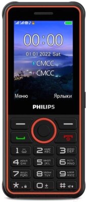 Мобильный телефон Philips Xenium E2301 / CTE2301DG/00 от компании Бесплатная доставка по Беларуси - фото 1