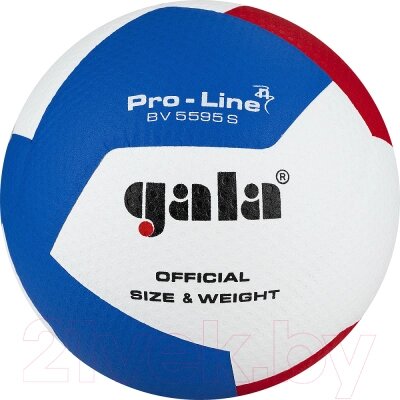 Мяч волейбольный Torres Gala Pro-Line 12 / BV5595SA от компании Бесплатная доставка по Беларуси - фото 1