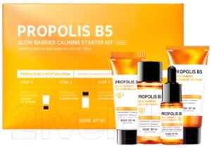 Набор косметики для лица Some By Mi Propolis Trail Kit