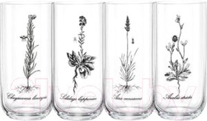 Набор стаканов Bohemia Crystalex Herbal 25287/S1742/S1743/S1744/S1745/440-4