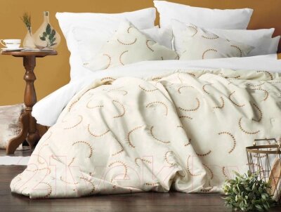 Набор текстиля для спальни Pasionaria Джим 230x250 с наволочками от компании Бесплатная доставка по Беларуси - фото 1