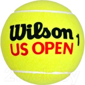 Набор теннисных мячей Wilson US Open Extra Duty / WRT116200