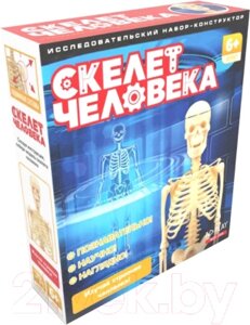 Научная игра ND Play Скелет человека / 277382
