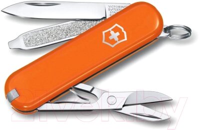 Нож складной Victorinox Mango Tango 0.6223.83G от компании Бесплатная доставка по Беларуси - фото 1