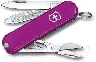 Нож складной Victorinox Tasty Grape 0.6223.52G от компании Бесплатная доставка по Беларуси - фото 1