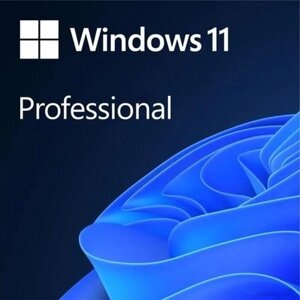 Операционная система Microsoft Windows 11 Pro 64Bit Russian 1PK DSP OEI DVD (FQC-10547)