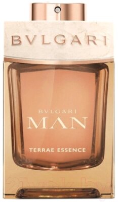 Парфюмерная вода Bvlgari Man Terrae Essence от компании Бесплатная доставка по Беларуси - фото 1