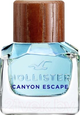 Парфюмерная вода Hollister Canyon Escape от компании Бесплатная доставка по Беларуси - фото 1