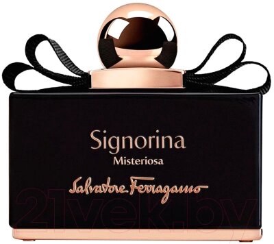 Парфюмерная вода Salvatore Ferragamo Signorina Misteriosa от компании Бесплатная доставка по Беларуси - фото 1