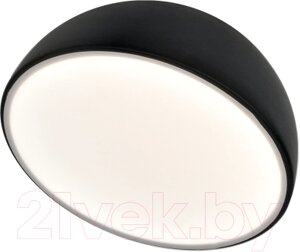 Потолочный светильник ESCADA 20025LED 20025SMA/01LED BK