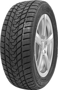 Зимняя шина Delinte Winter WD1 245/45R19 98S