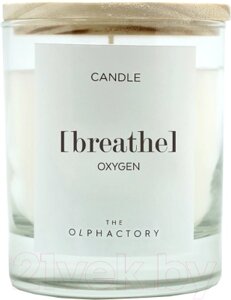 Свеча Ambientair The Olphactory Breathe Кислород / VV402OXTO